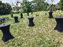 279580210_10225269999564718_5391519813860012644_n (1).webp